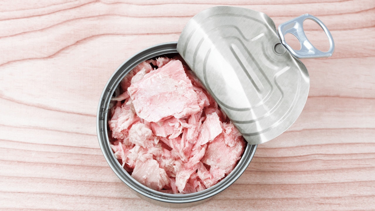 Can-You-Freeze-Canned-Tuna-Is-it-Safe-1