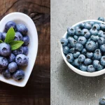 Bilberries Vs Blueberries: Everything About These Berries