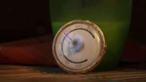Best Big Green Egg Thermometer [Buyer's Guide]