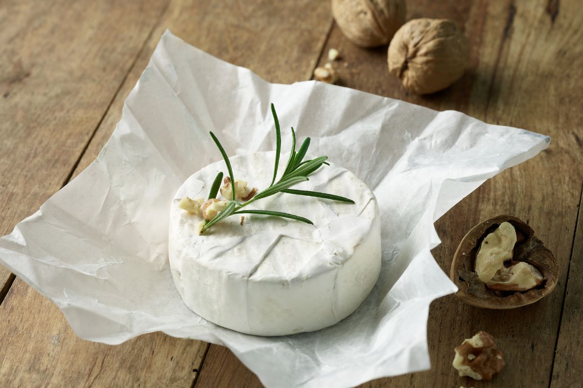 How To Eat Brie Cheese Coriander Queen