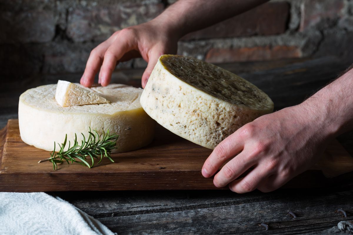 what-does-goat-cheese-taste-like-coriander-queen